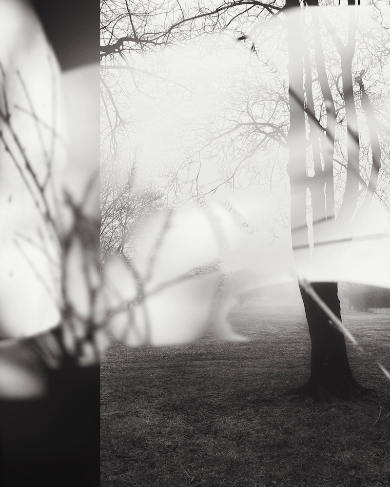 fine art photography, black and white photography, landscape photography,